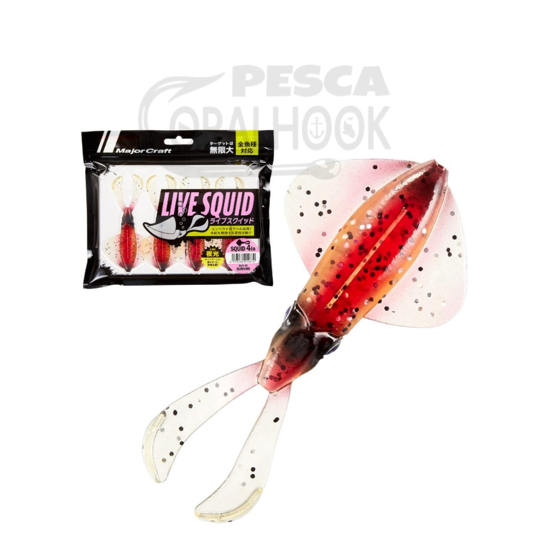 LIVE SQUID 4"