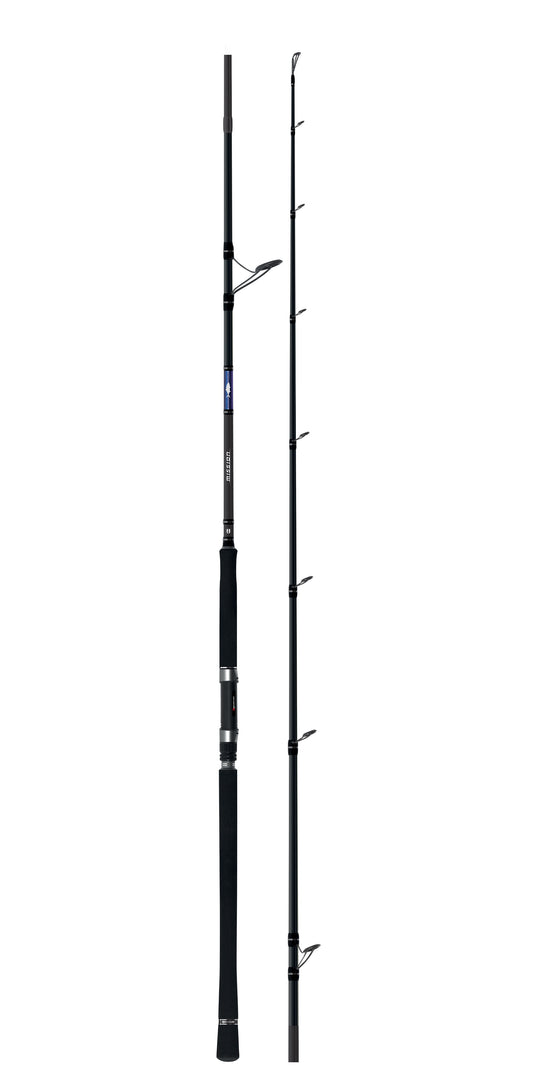 CAÑA HERAKLES MISSION SHORE MSJ2-96MH 2.83M 30-100GR