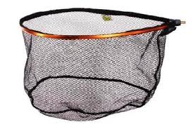 CABEZA SALABRE GOMA EVIA GOLD 50X40CM