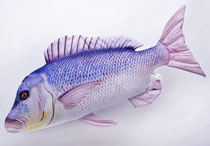 COJÍN PEZ DENTÓN PEQUEÑO 80CM