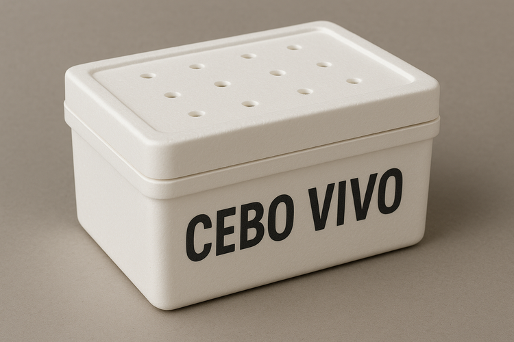 CEBO