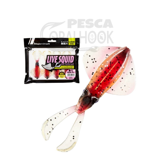 LIVE SQUID 4"