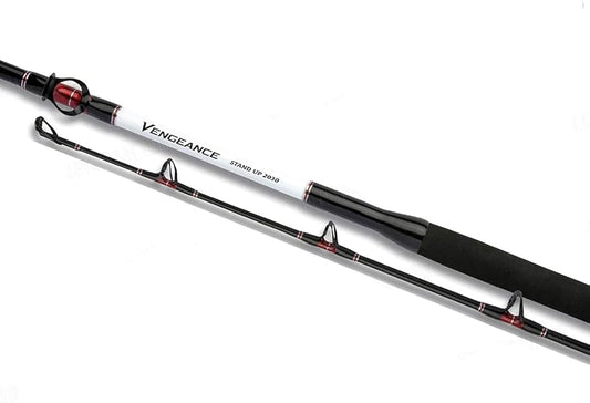 CAÑA SHIMANO VENGEANCE STANP UP 30LB 1.65M