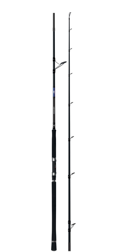 CAÑA HERAKLES MISSION SHORE MSJ2-96MH 2.83M 30-100GR