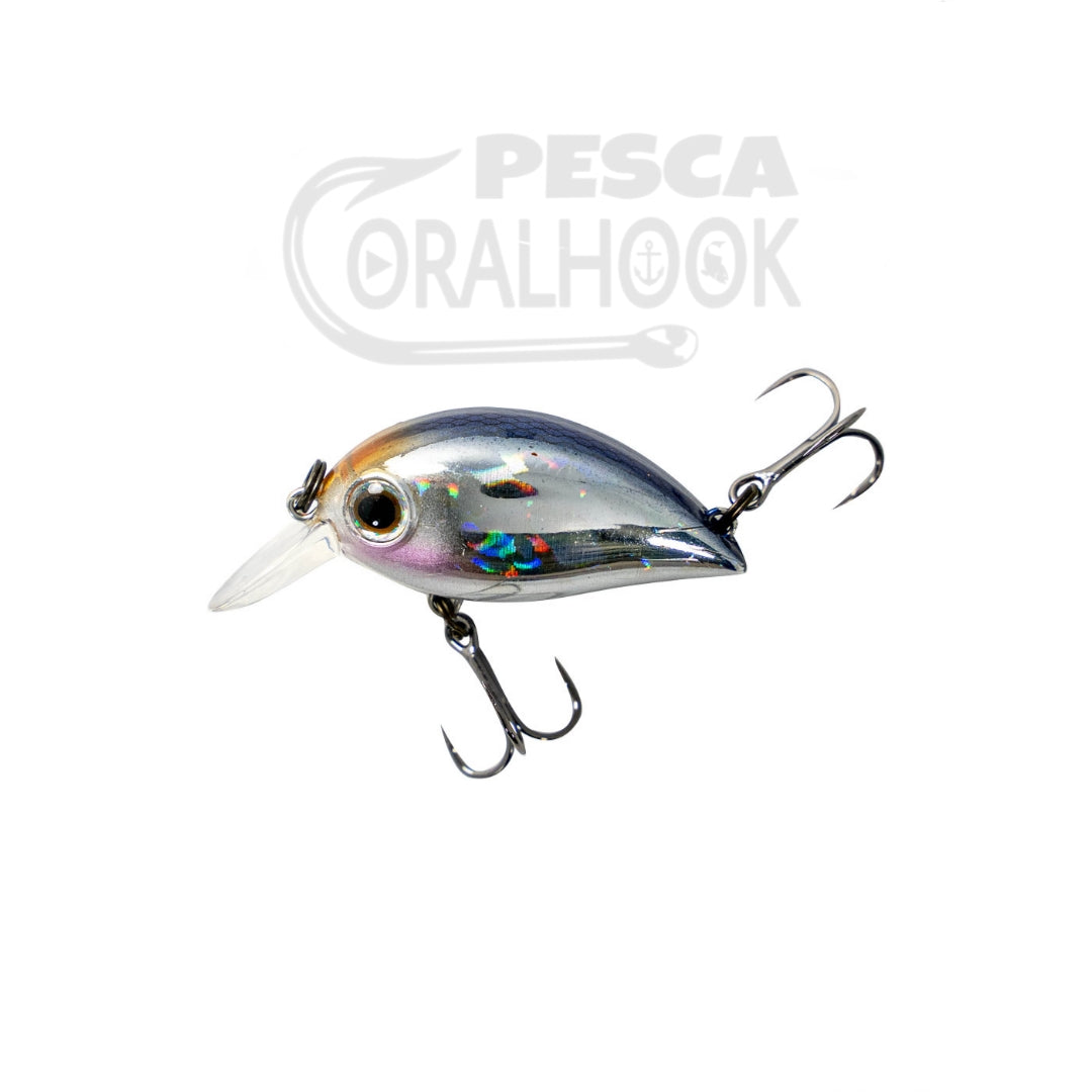 HICKORY SR