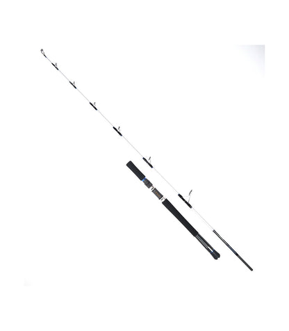 CAÑA DAIWA SALTIGA J61XHS 1.85M 100-300GR