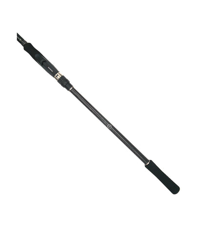 CAÑA SHIMANO BASSTERRA A SEABASS 2.90M 15-60GR