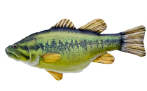 COJÍN PEZ BLACK BASS 67CM