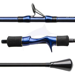 CAÑA DAIWA LEXA 61B5 1.85M MAX. 250-400GR