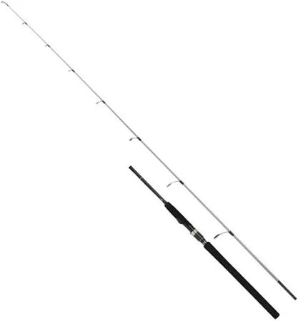 CAÑA SHIMANO SPEEDMASTER R JIGGING S565 1.68M MAX.250GR